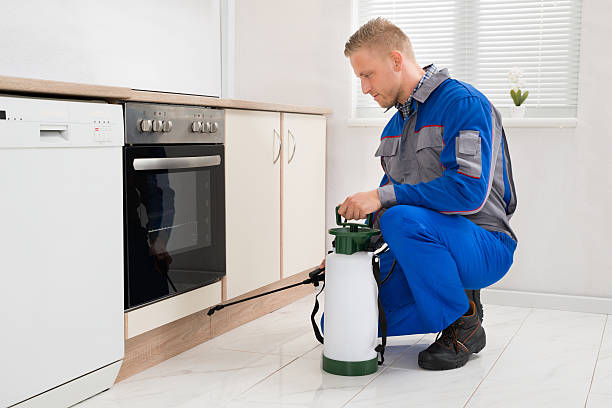 istock Man Spraying Pesticide In Kitchen Room 521082076