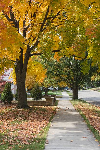 istock Middle Class Michigan Neigborhood in Autumn 521083446