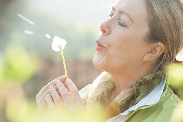 istock Mature woman blowing dandelion flower 521083532