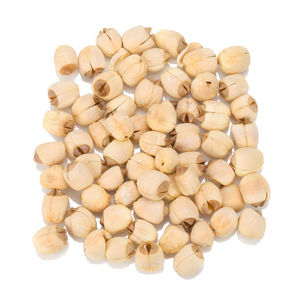 istock Dried lotus seeds on white background 521084808