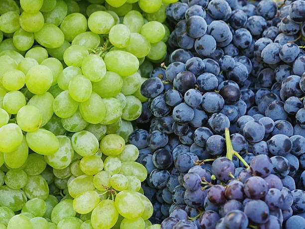 istock market red wine grapes 521085082