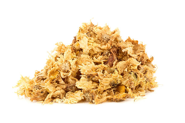 istock Dried Chrysanthemum Flowers On White Background 521085776