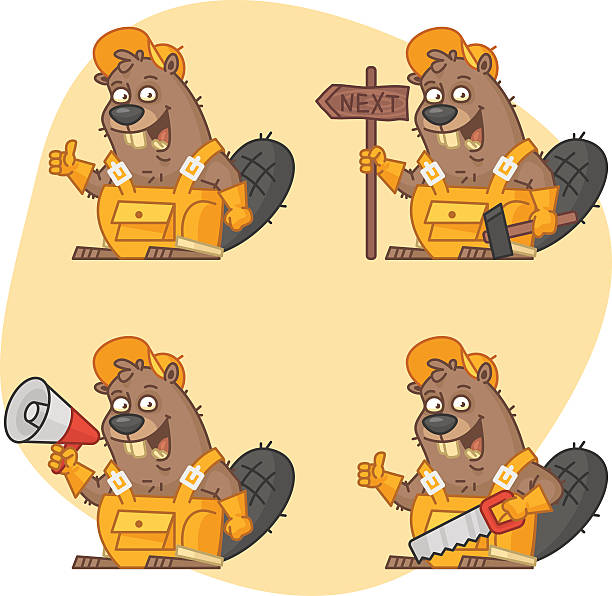 Master Beaver 160+ Full He Beaver Stock Photos, Pictures & Royalty-Free Images - iStock