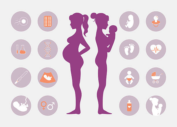 Pregnancy and birth icons set Pregnancy and newborn baby icons set. Childbirth and motherhood. Pregnancy and birth infographics, presentation template and icons set. Medicine and pregnancy vector icons set. Baby care, mother birth illustration. infographic silhouettes stock illustrations