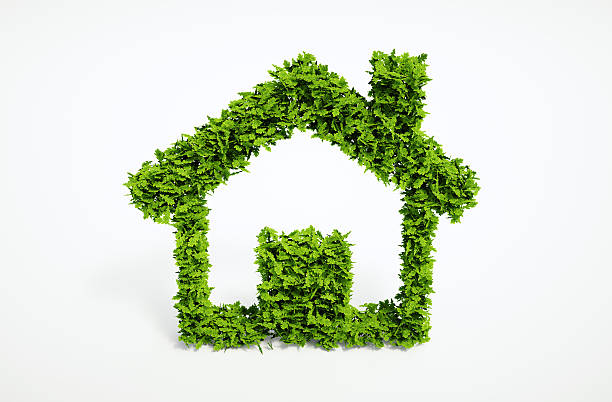 istock ecology independent home symbol 521108243