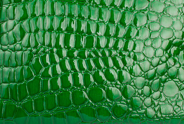 Green alligator / crocodile skin leather (wallpaper,background)