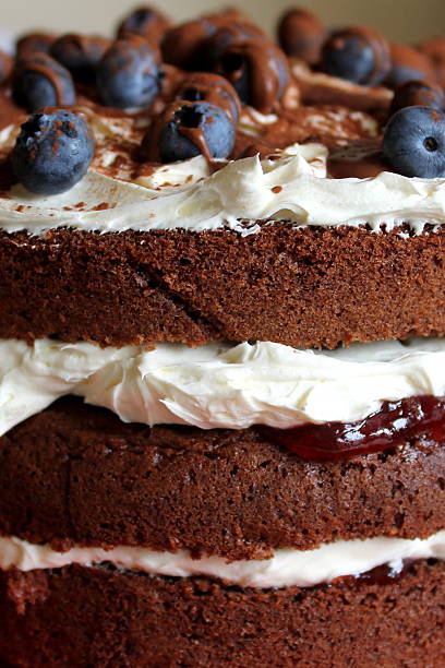 istock Fresh Chocolate Cake with Blueberries, grated chocolate, cream and sauce 521109299