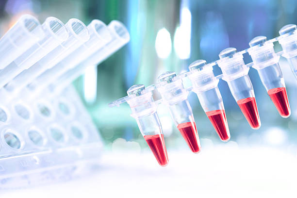 istock Plastic tubes prepared for amplification of DNA 521109331