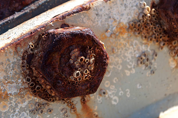 zbliżenie z zardzewiałe części ze stali - pipeline sea flange water zdjęcia i obrazy z banku zdjęć