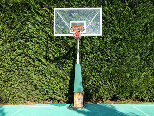 istock Basketball court in the backyard 521109753