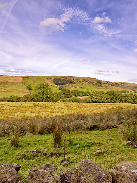 istock Wycollar country park 521110845