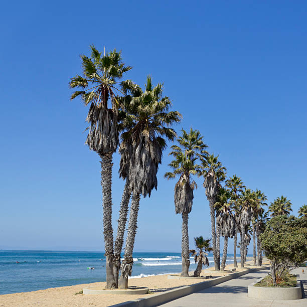 istock Beach Promenade, Ventura, CA 521111417
