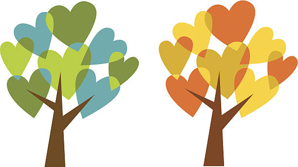 Love trees:  spring and fall vector art illustration