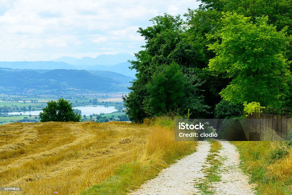 Country landscape in Lazio (Italy) Country landscape near Rieti (Lazio, Italy) at summer Agricultural Field Stock Photo