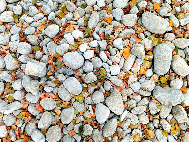 Stone, Small, White, Nature, Surface Level, Pebble, Gravel, Circle, Granite, Macro, Textured, Mineral, Close-up, Day, Boulder, Rock, Land, Stack Rock, Sand, Outdoors, Coastline, Geology, Backgrounds, Curve, Toughness, Shape, Bright, Abstract, Gray, Material, Messy, Pattern, Smooth, Rough, Construction, Topview, Beach, Rough, Autumn, Leaves