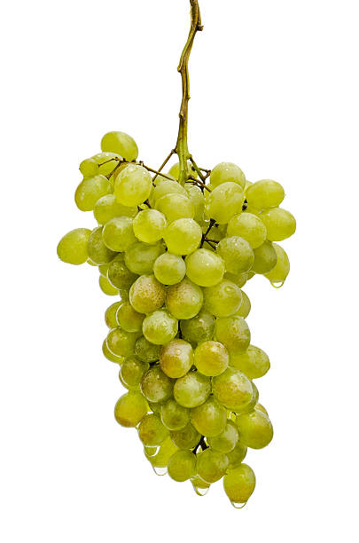 istock bunch of grapes 521112599