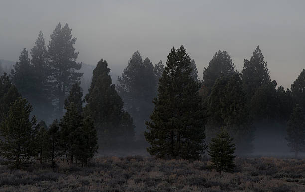 Frosty mountain mist stock photo