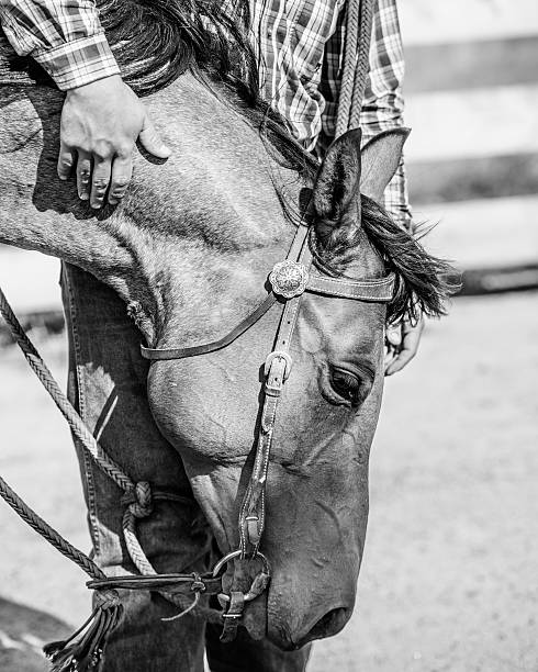 istock Cowboy and horse 521114179