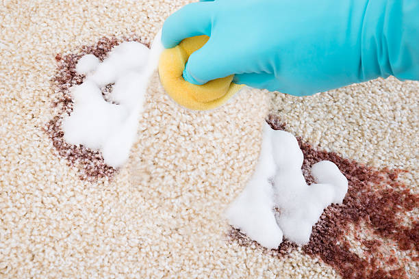 istock Person Cleaning Carpet With Sponge 521124286