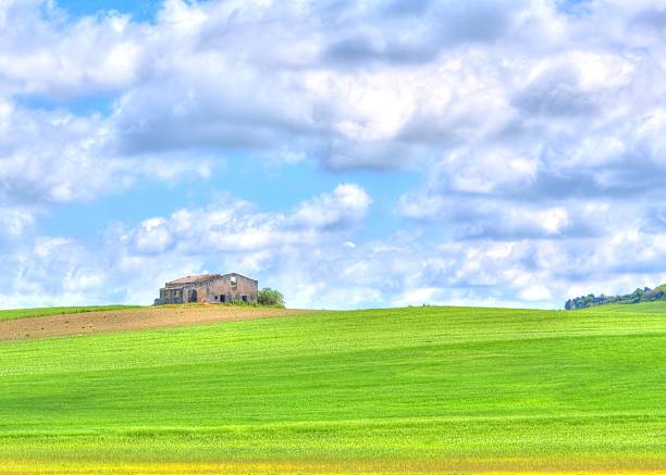 istock green grass field landscape under blue sky and clouds 521128834