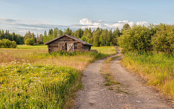 verano en el norte de suecia - norrland fotografías e imágenes de stock