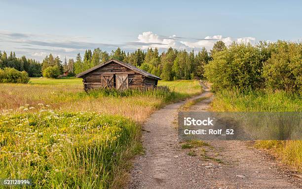 Summer In Northern Sweden Stock Photo - Download Image Now - Norrland, Swedish Lapland, Sweden