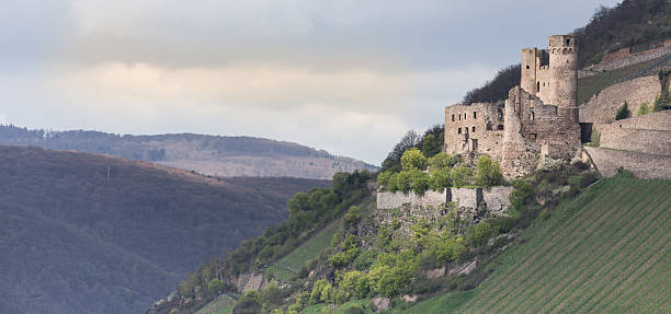 istock castle ruin ehrenfels bingen germany 521130676