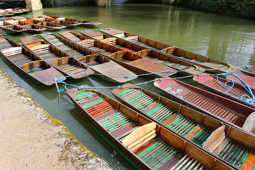 Photo showing wooden punts tethered together with ropes to stop them drifting away on the river. These flat-bottomed boats are propelled by the punter pushing a wooden pole along the river bed.
