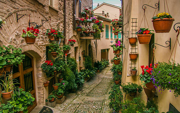 istock Flowers in Spello alley 521133544