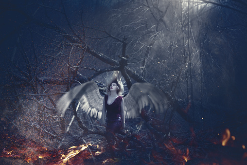 horizontal shot of attractive woman raising her head, having wings.fallen angel in the woodland in misterious nature background.