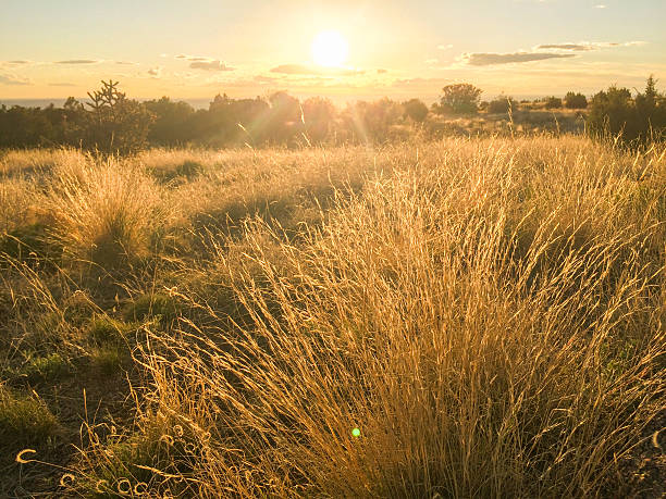 istock new mexico nature landscape sunset 521135030