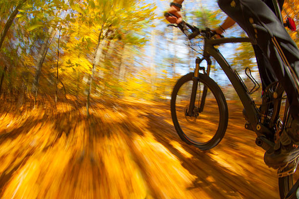istock Mountain biking along a trail in the bright sun. 521136554