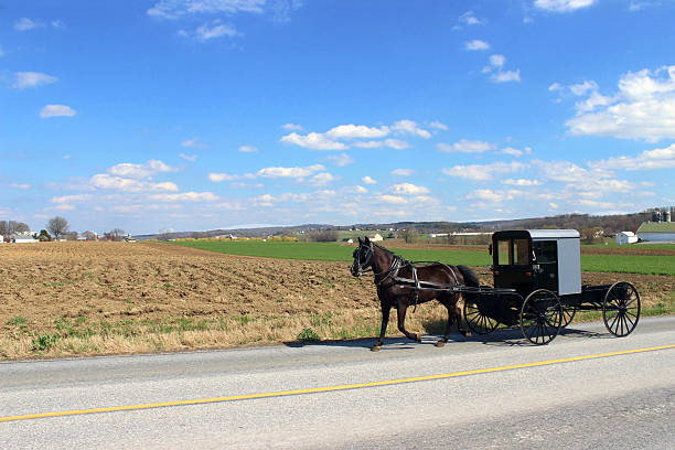 istock Amish Horse and Buggy in Lancaster Pennsylvania 521137739