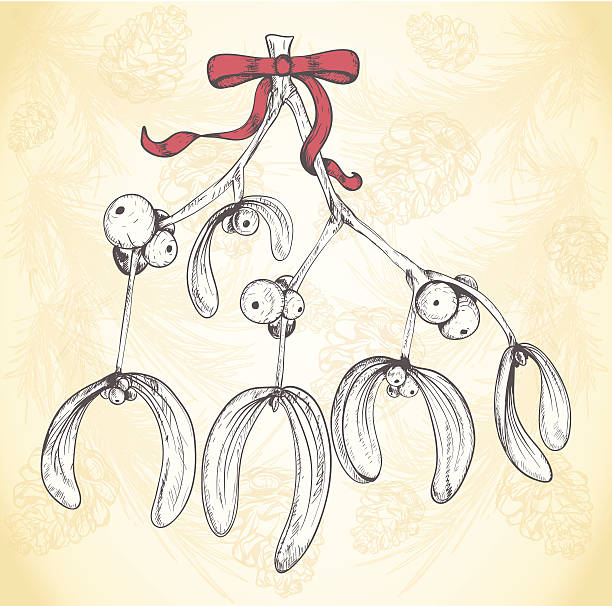 ilustrações, clipart, desenhos animados e ícones de mão desenhada de natal com laço vermelho mistletoe filial - vector branch leaf affectionate