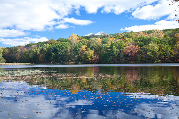 istock Rockefeller State Park Preserve at Autumn 521138595