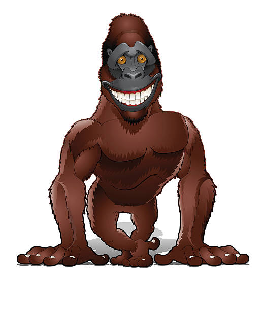 Shy gorilla Shy and strong gorilla looking you isolated on white huge silverback gorilla stock illustrations