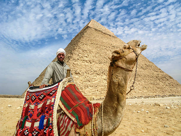 camel homem na frente de pirâmide de gizé, cairo, egito - egypt camel pyramid shape pyramid imagens e fotografias de stock