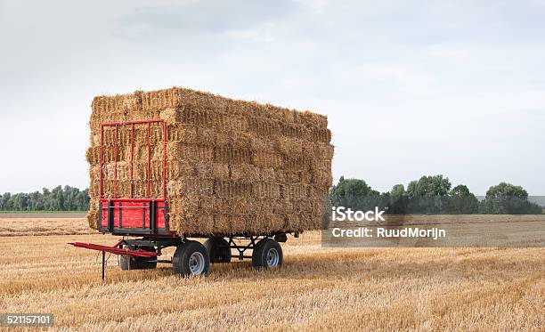 Agricultural Wagon With Straw Packages In The Field After Harves Stock Photo - Download Image Now