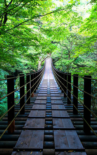istock Shiomi Falls Suspension Bridge 521158045