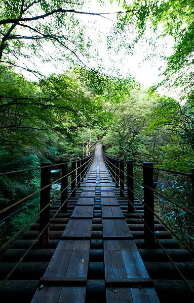 istock Shiomi Falls Suspension Bridge 521178535