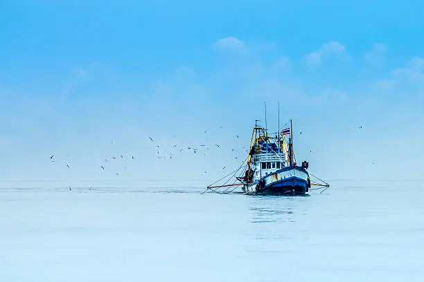 Fishing boats and flock of birds in the Gulf of Thailand.