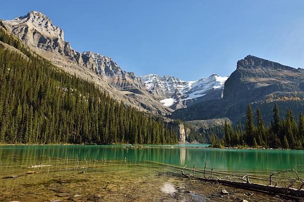 istock Lake O'Hara and Mt. Huber, Yoho National Park 521178713