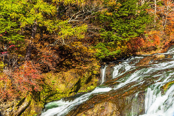 istock Ryuzu no taki waterfall 521179691
