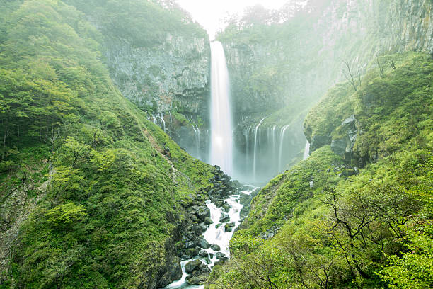 kegon falls - nikko national park - fotografias e filmes do acervo