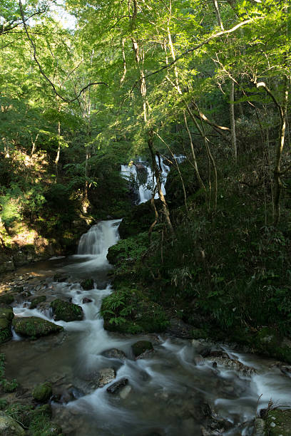 istock Mountain stream of Shimotaki 521181199