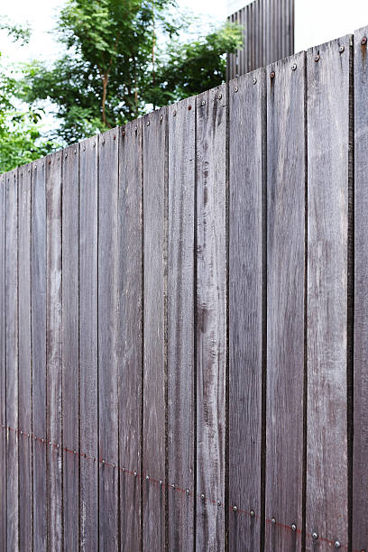 istock wood fence texture background 521182823