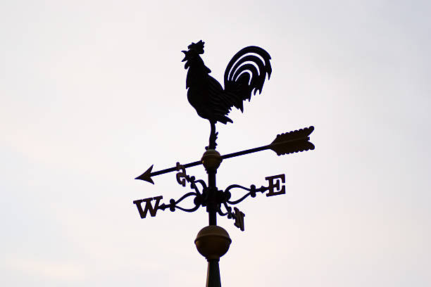 istock Weathercock, Go west 521182867