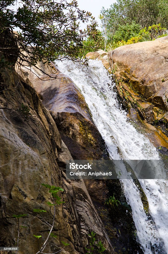 waterfall from the rocks, frozen water and  trees waterfall coming down from the rocks, with frozen water and  trees with in the background Abstract Stock Photo