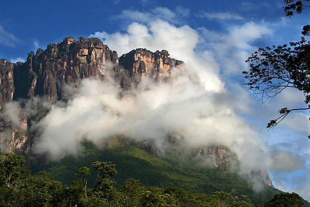 tepui en parque nacional canaima, venezuela - ciudad bolivar fotografías e imágenes de stock