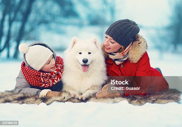 Beautiful Happy Family Mother And Son Walking With White Samoye Stock Photo - Download Image Now